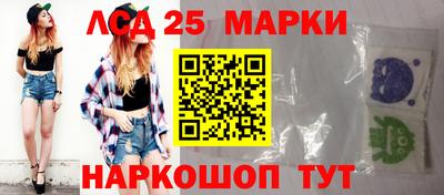 прущие грибы Апшеронск